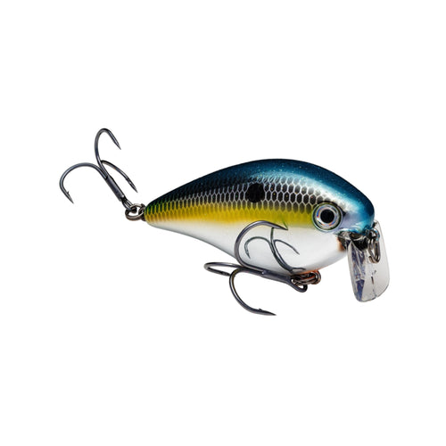 Curricán Strike King KVD 2.5 Wake – Señuelo de Superficie